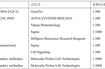 Table 3  使用した抗体 