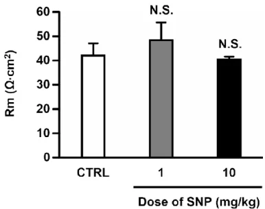 Fig. 12    Effect of SNP on TER in ileum 120  min after  administration to the ileal loop