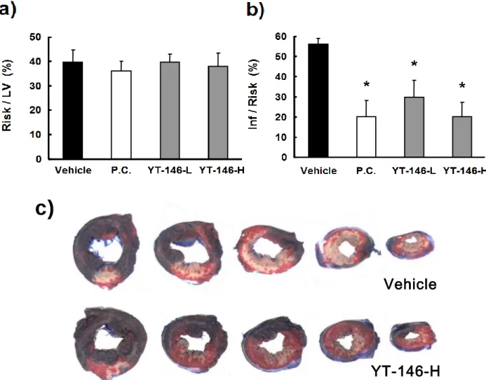 Fig.  7.    Effects  of  YT-146  and  ischemic  preconditioning  on  ischemia/reperfusion -induced  myocardial  infarct  size  in  dogs  (a,  Risk/LV;  b,  Inf/Risk ,  c,  Cross  sectional  images  of  left  ventricular  from  vehicle  an d  YT-146-H  trea