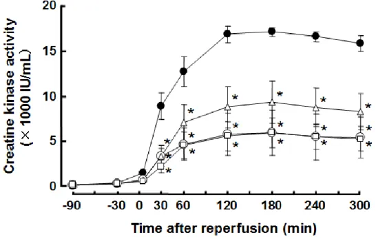 Fig.  8.    Effects  of YT-146  and  ischemic  preconditioning  on  plasma  creatine kinase activity  in  dogs  at  different  periods  of  perfusion