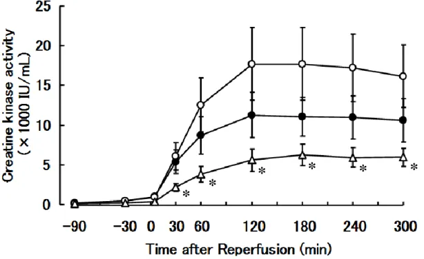 Fig. 13.    Effects of YT-146 on plasma creatine kinase activity in dogs  at different periods of  perfusion