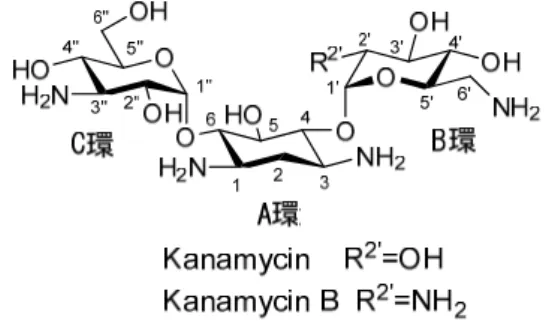 Fig. 7. Structures of Kanamycin and Kanamycin B 