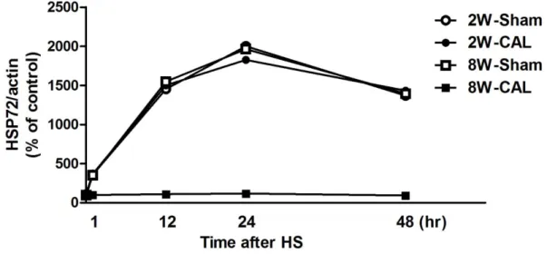 Figure 7 Changes in the ability of the left ventricle to induce HSP72 in the Sham (open symbols) and  CAL (closed symbols) rats at the 2nd (2W; circles) and 8th (8W; squares) weeks after surgery