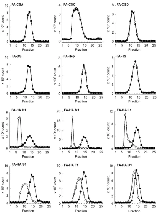 Fig. 2-3. HA-specific depolymerization by KIAA1199/HEK293 cells. Control HEK293 (open circles) and KIAA1199/HEK293 cells (closed circles) were cultured for 72 h with FA-labeled GAGs: