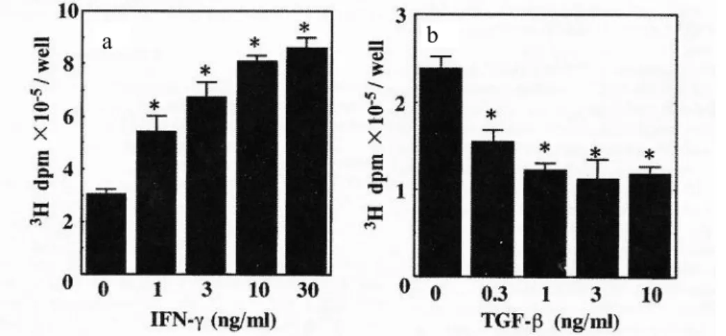 Fig.  1-2  The  hyaluronan synthesis  of  human  keratinocytes was  upregulated by  IFN - but  dow n  regulated  by  TGF- in  a  dose  dependent  manner