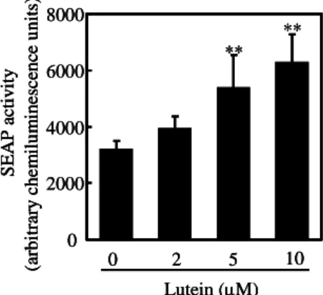 Fig. 2 Effect of lutein on RAR activation. 