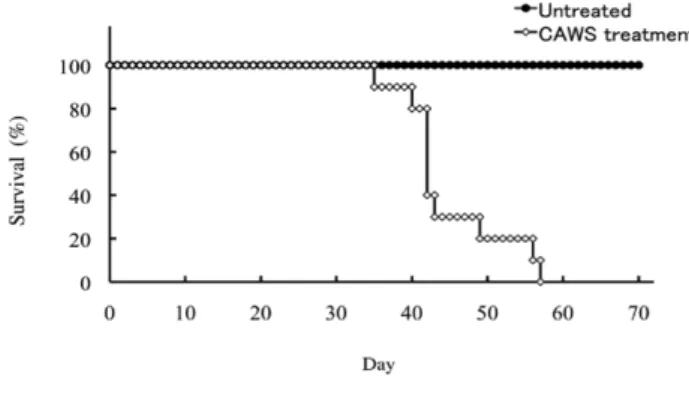 Fig. 3 DBA/2 マウスの CAWS 血管炎で認められる左心肥大と大動脈弁病変および左室機能不全!