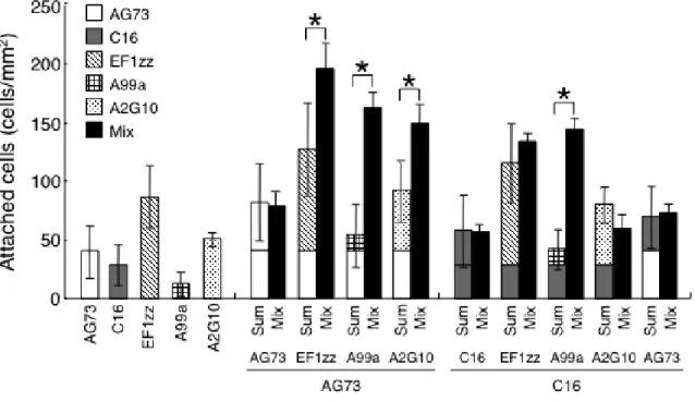 Fig. 2-1.    HDF attachment activity on peptide-chitosan membranes. 