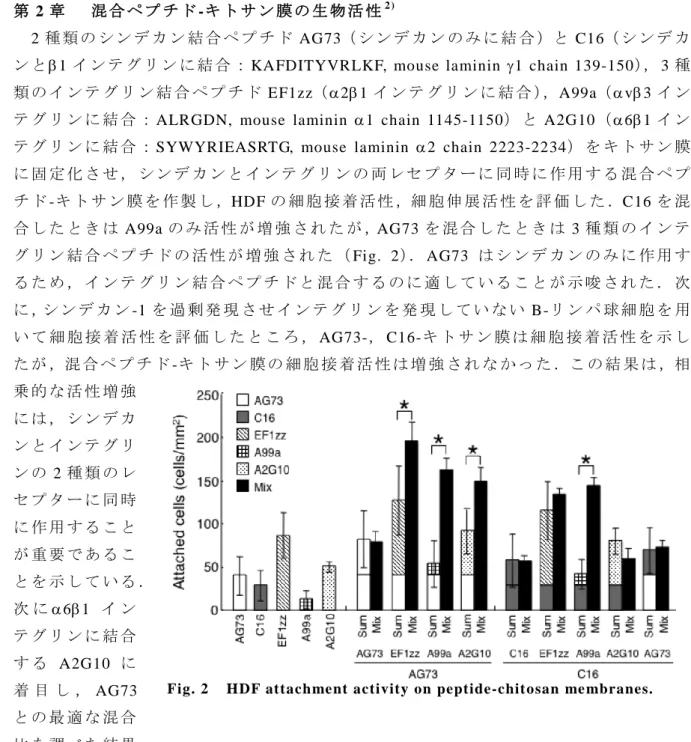 Fig. 2    HDF attachment activity  on peptide-chitosan me mbranes.  