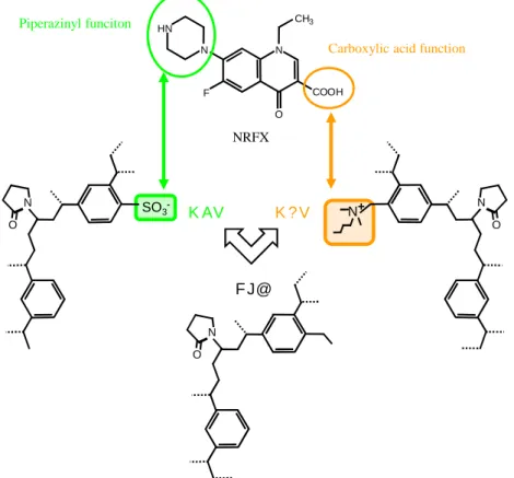 Figure 9 Chemical structure of each solid-phase-extraction column, and interaction with NRFX.