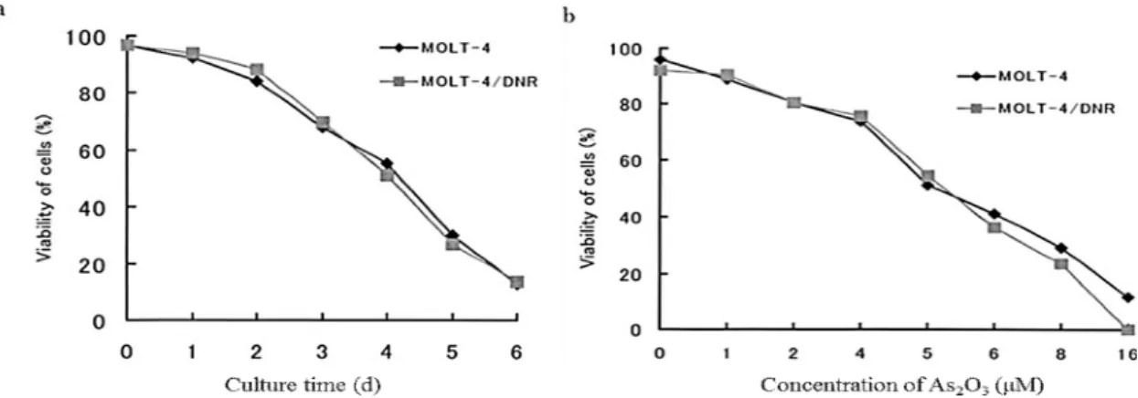 Fig. 1-2 Comparison of viabilities of cells treated with As 2 O 3  as a function of culture days (a)  and  concentration  of  As 2 O 3   (b)  between  MOLT-4  and  MOLT-4/DNR  cells