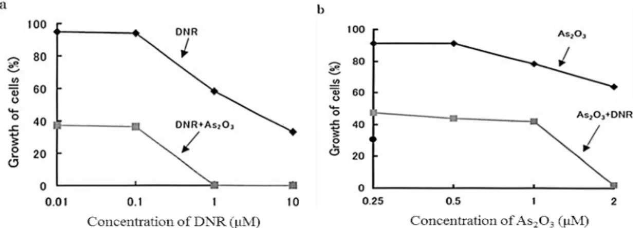 Fig.  1-3  Additive  effect  of  DNR  and  As 2 O 3   on  the  growth  of  MOLT-4/DNR  cells