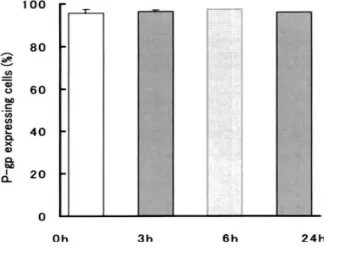 Fig.  1-5  Effect  of  As 2 O 3   on  P-gp  expression  of  MOLT-4/DNR  cells. 
