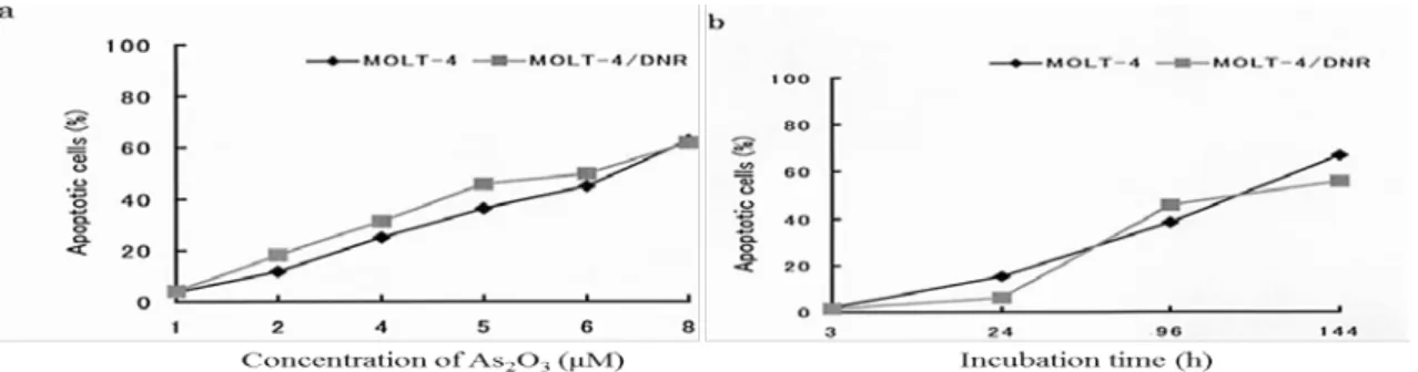 Fig. 1 Induction of apoptosis by As 2 O 3   in M OLT-4  and MOLT-4/ DNR cells. a;  Percent  apoptotic cells as a function of As 2 O 3   concentration after culture for 4 days, b;  Percent  apoptotic cells as a function of incubation time in the presence of