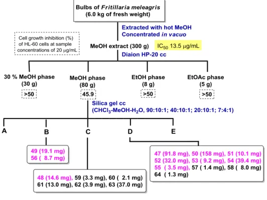 Fig. 3-1.    Extraction and isolation procedures 