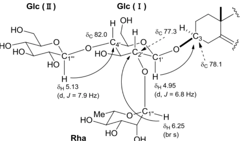 Fig. 3-3.    HMBC correlations of the sugar moiety of 47 