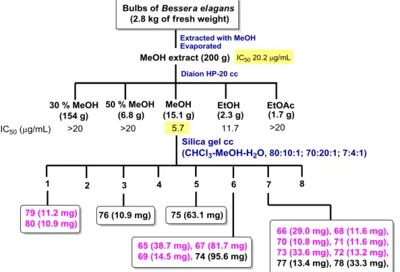 Fig. 4-1    Extraction and isolation procedures 