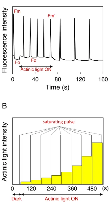 Fig.  2-1.  PAM Δ A:  Δ