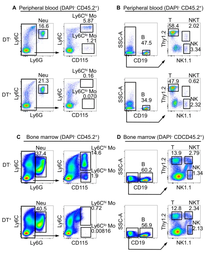 図 3  SiglecFSSC-A CD64Ly6C SiglecFSSC-A CD64Ly6C