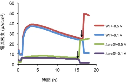 Fig. 4-2  3 +0.2 V 2 +0.5  V (HP)  –0.1 V (LP)  22h 3 0 10 20 30 40 50 60 0 5 10 15 20 (µA/cm2)(h)WT/HP WT/LP ΔarcS/HP ΔarcS/LP WT/+0.5 VWT/–0.1 V∆arcS/+0.5 V∆arcS/–0.1 V