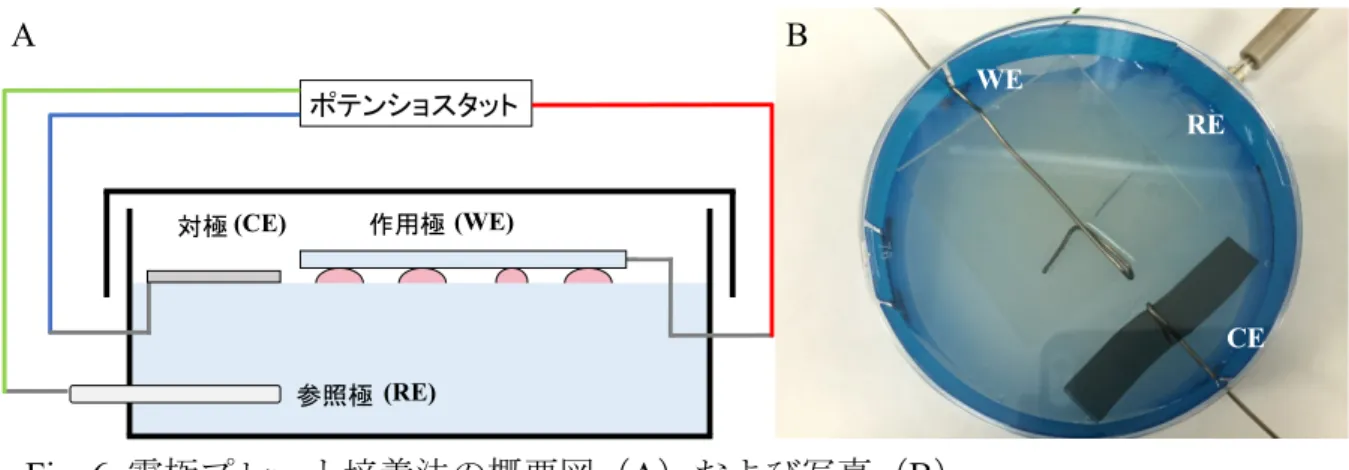 Fig. 6  A B(CE)(WE)(RE) CEWEREAB
