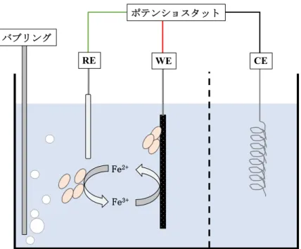 Fig. 3   (WE)    (3 x 4 cm)    (CE)    (20 cm)    (RE)  / 9K 9K 150  mL CEWERE+