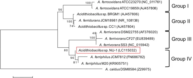 Fig. 9  16S rRNA NU-1