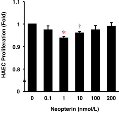 図 4. HAEC の 増殖 に対 す る Neopterin の 作用 。 