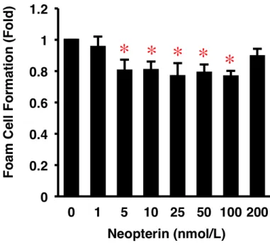 図 9. HMDM の 泡沫 化に 対 する Neopterin の 作用 。 
