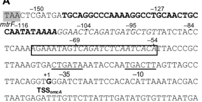 Figure 2. omcA (A)  mtrC (B)  TSS omcA TSS mtrC   (+1)  omcA