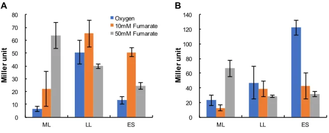 Figure 5.  - P omcA  (A)  P mtrC  (B) 