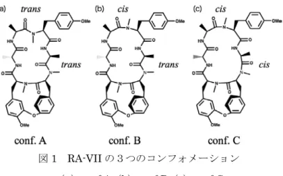 図 1 RA-VII の３つのコンフォメーション