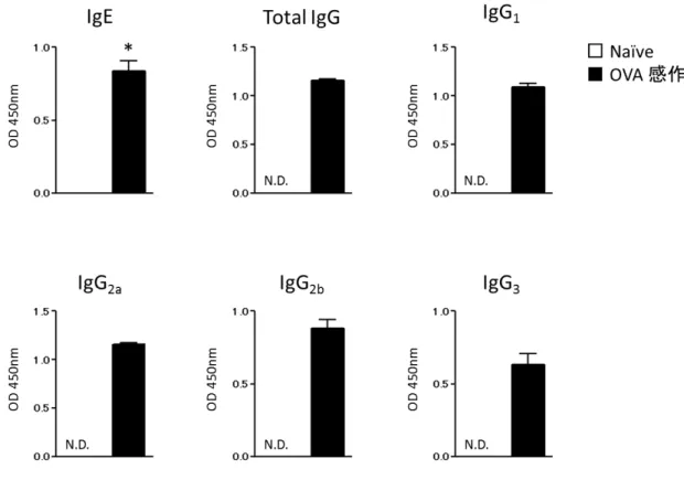 Fig. 3    OVA 全 身 感 作 マ ウ ス の 血 清 中 OVA 特 異 的 IgE,  total  IgG お よ び IgG サ ブ ク ラ ス の 評 価