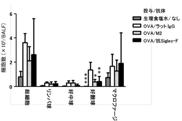 Fig. 3  全 身 抗 原 感 作 マ ウ ス に お け る 好 酸 球 浸 潤 に 対 す る M2 の 効 果