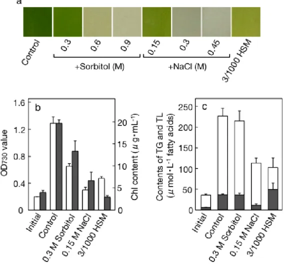 Fig. I-7  各条件での C. reinhardtii の生育および培養液あたりの脂質含量への影響 .  基本 培地 (Control; 3/10 HSM),  高浸透圧条件 (Sorbitol あるいは NaCl 添加による ) および全栄 養制限 (3/1000 HSM)