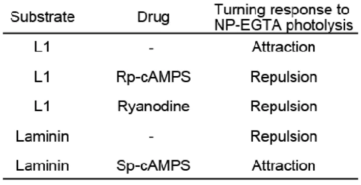 Table  1.    Combinations  of  culture  substrates  and  pharmacological  drugs  to  generate  attractive or repulsive Ca 2+  signals     