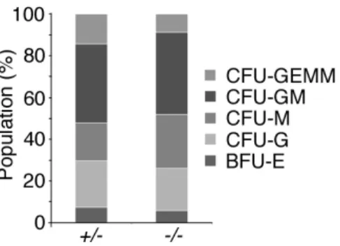 Figure 11 Populations of CFU-GEMM, -GM, -M, -G, and BFU-E were  unchanged in PLC δ 1 -/-  bone marrow cells in vitro