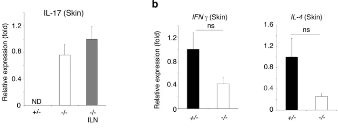 Figure 14      IL-17 mRNA was increased in PLC δ 1 -/-  skin. 