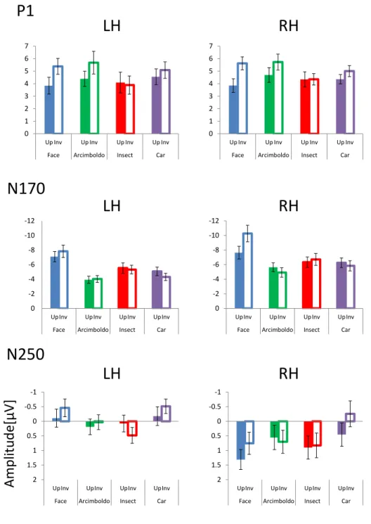 Figure 2.4: The peak amplitude of the P1 (Top), N170 (Middle), and N250 component (Bottom) measured at the left and right pooled occipito-temporal electrode sites (averaged for electrodes P5/P9/PO7 and P6/P10/PO8), displayed for 4 categories in the upright