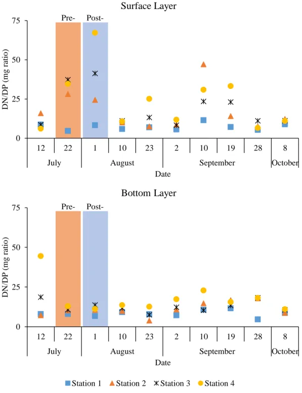 Figure 4.6 Observed Estuarine DN/DP Ratio during Summer 2010 0
