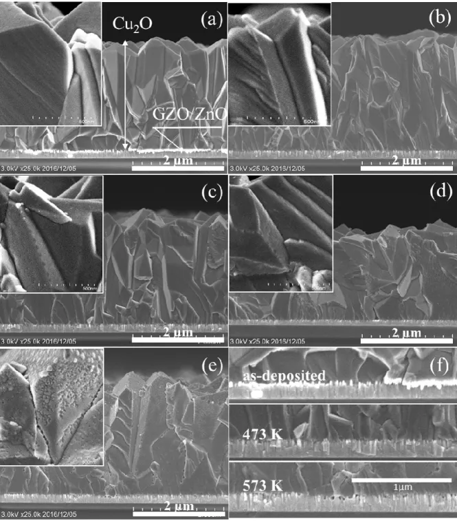 Figure 2.4 shows the surface FE-SEM images of the obtained ZnO/Cu 2 O PVs. The Cu 2 O  surface  of  the  as-deposited  ZnO/Cu 2 O  sample  is  composed  of  continuous  well-faced  grains  (~477 nm in diameter)