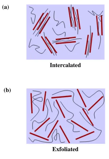Figure 1-5. Schematic illustration of two different types of thermodynamically achievable  polymer/layered filler nano-composites