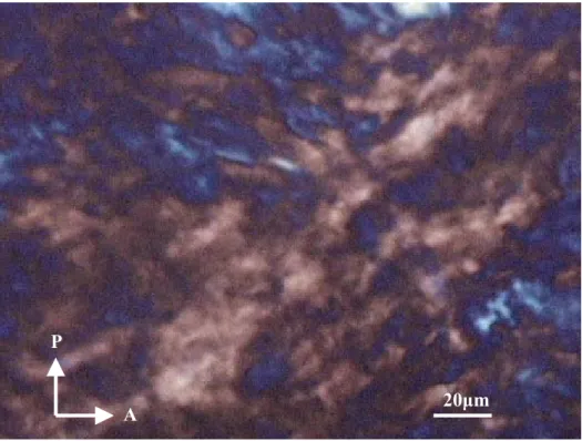 Figure 2-3. Polarized optical micrograph for crystallized DC 18 DM-Br during cooling process.