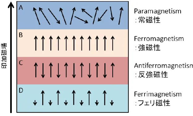 図 1-19  磁性の種類．(A)常磁性，(B)強磁性，(C)反強磁性，(D)フェリ磁性． 