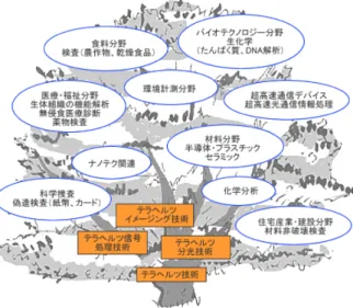 図 1.4 テラヘルツ技術応用の広がり [3]