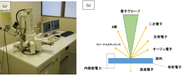 図  3-13      (a) SEM 装置    (b) SEM の原理 