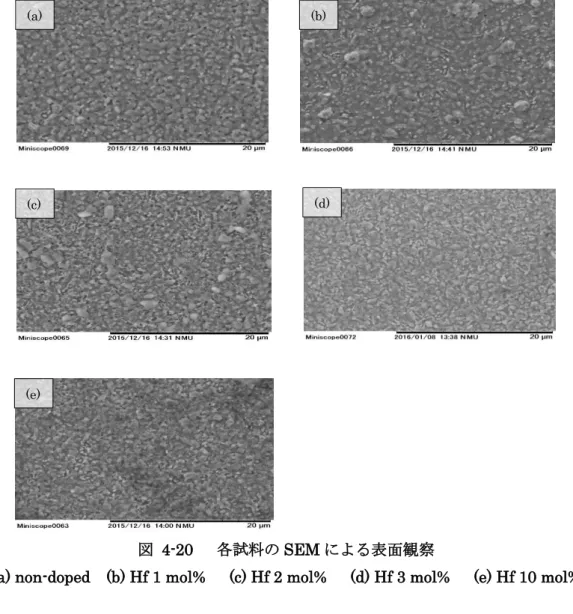 図  4-20      各試料の SEM による表面観察 