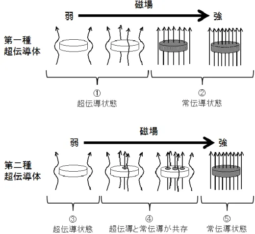 図  1.8  第一種超伝導体と第二種超伝導体の磁場中における状態図．  ・磁束の量子化  第二種超伝導体は下部臨界磁場以上においては磁場を完全に排除するよりも，超伝導状 態を部分的に破壊し，磁場を侵入させた方がエネルギー的に得になる．磁場の侵入により， 侵入した磁束に相当する電流がその周りを流れる．この電流は，仮想的に超伝導体のリン グを流れる電流に置き換えることができ，リングを一周したときの超伝導の位相変化は， リングを貫通する磁束に比例する．ここで，リングを一周したところで，位相は元に戻っ ている(2