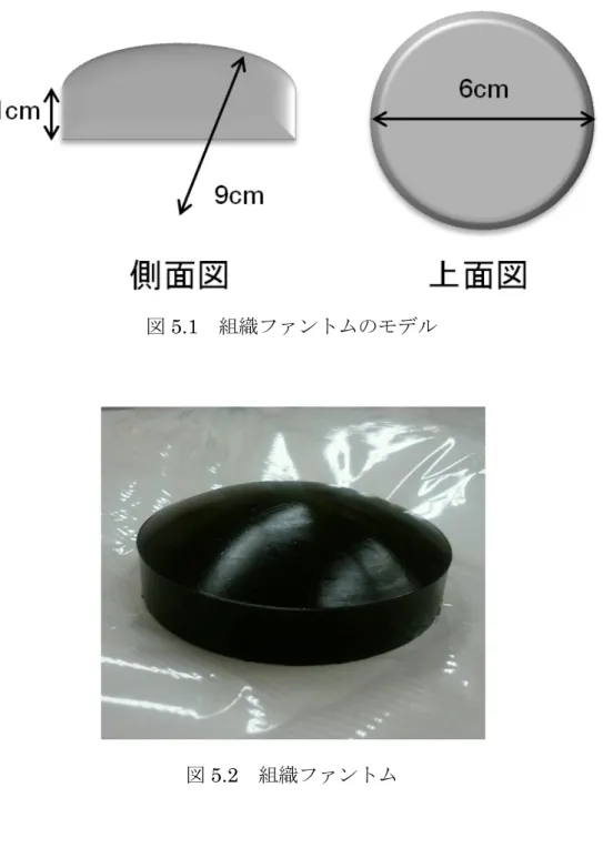 図 5.1  組織ファントムのモデル 
