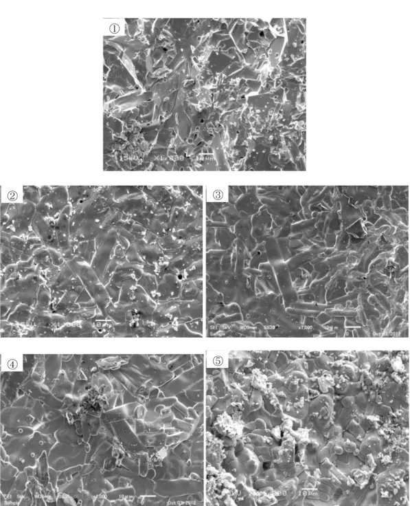 Fig. 4.2.2 Ti 添加 Gd123 バルク体の SEM 画像(倍率 1000)  (①pure,  ②Ti1mol%,  ③Ti3mol%,  ④Ti5mol%,  ⑤Ti7mol%) 